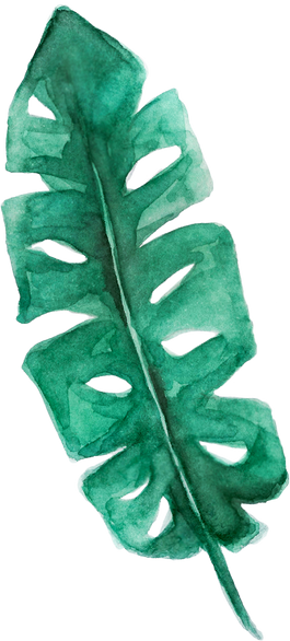 Watercolor Organic Leaf Shape